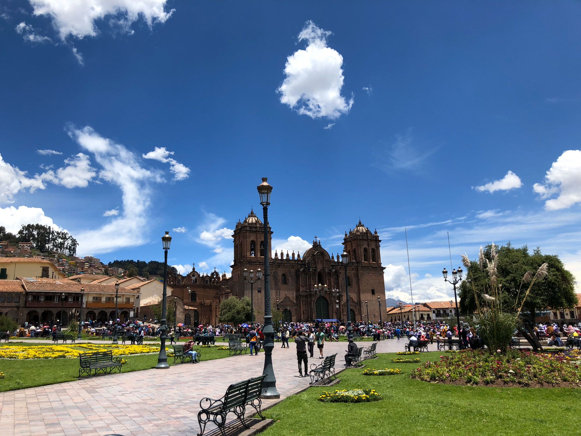 Escena submarina con un banco de peces rayados nadando en aguas azules